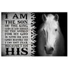 Horse Canvas
